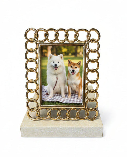 3.5 x 5 Gold Links Silvestri Picture Frame