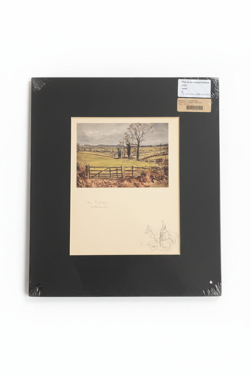 Equestrian Print - Unframed