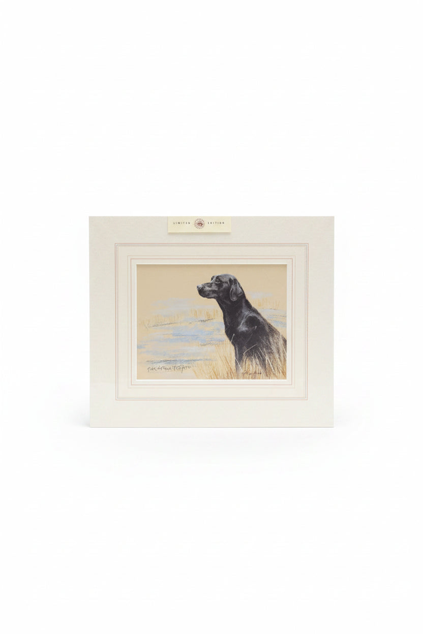 Gill Evans Print- Unframed