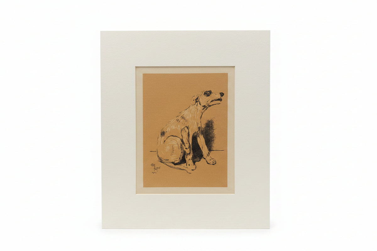 Cecil Aldin Print - Unframed