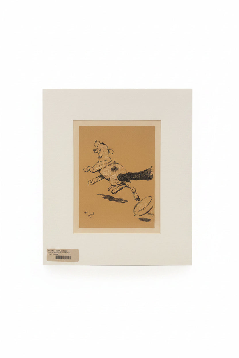 Cecil Aldin Print - Unframed
