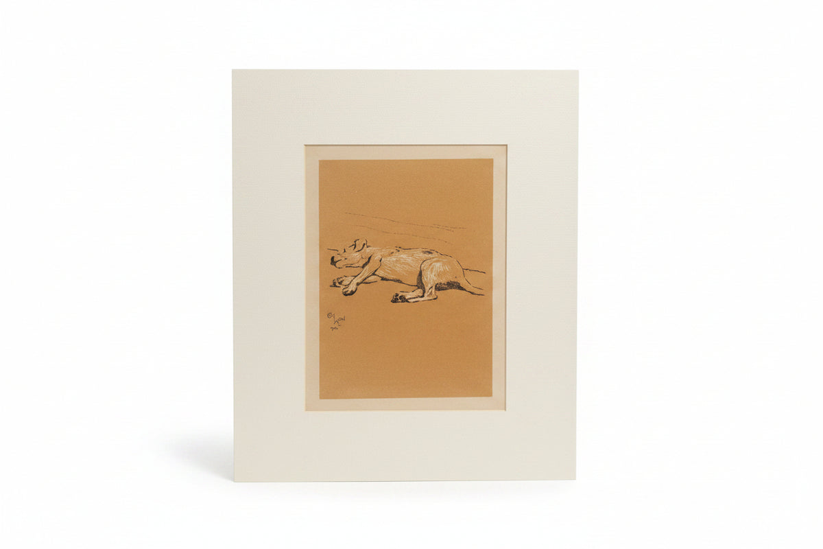 Cecil Aldin Print - Unframed