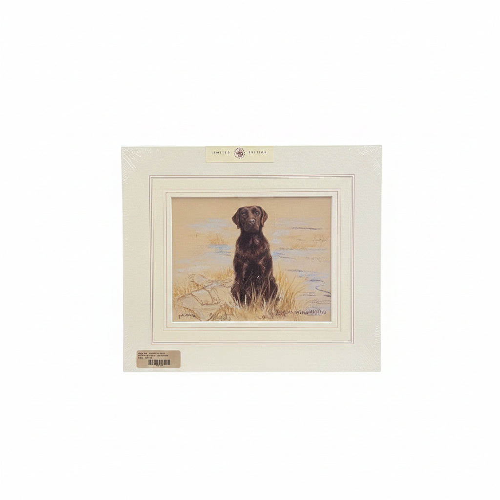 Gill Evans Print- Unframed