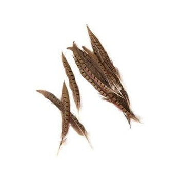 Feather Quills
