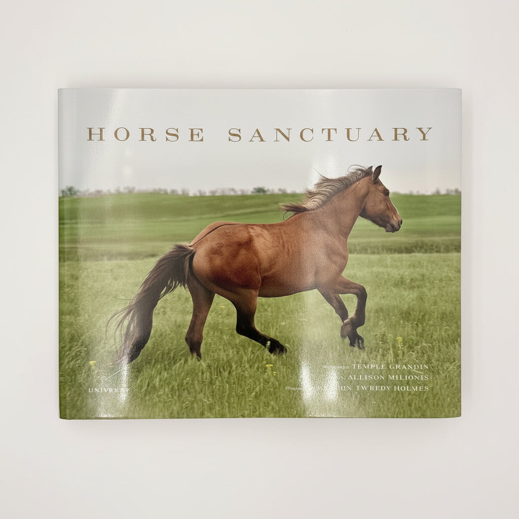 Horse Sanctuary