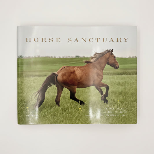 Horse Sanctuary