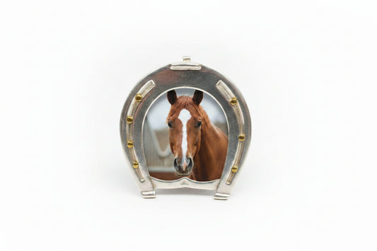 Silver Horse Frame with Mallet Stand