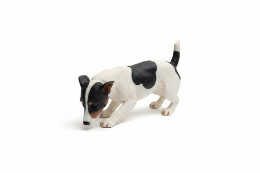 Large Sniffing Jack Russell