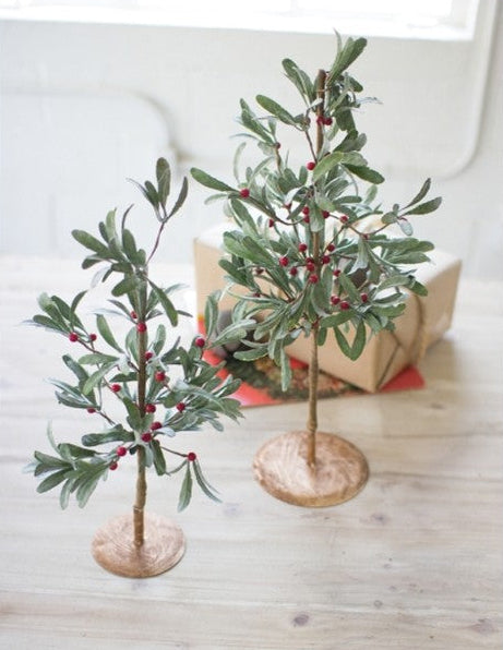 Mistletoe Trees