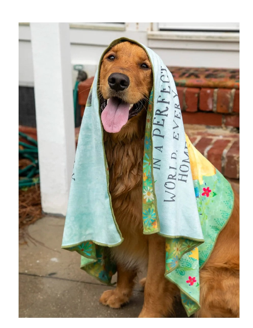 Perfect World Microfiber Towel