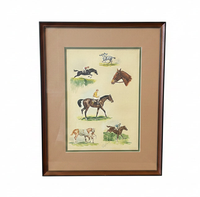 Polo Discipline Colored Drawing