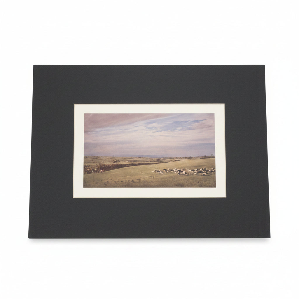 Equestrian Print - Unframed