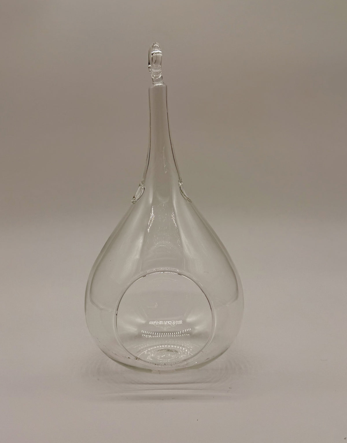 Small Hanging Terrarium