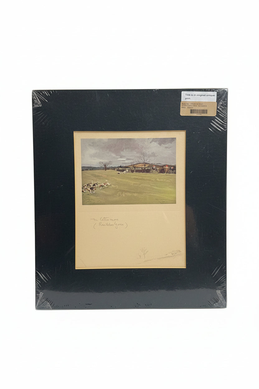 Equestrian Print - Unframed
