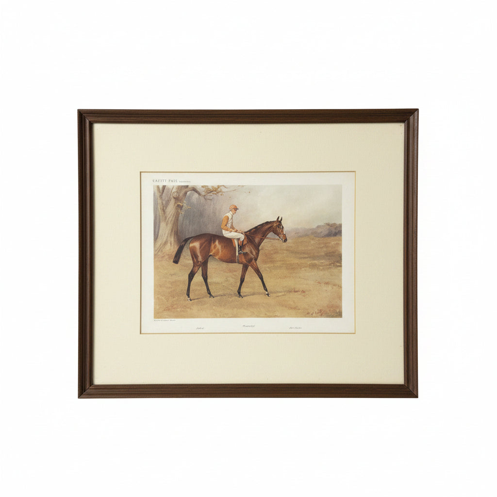 Vanity Fair's "Bayardo" Print